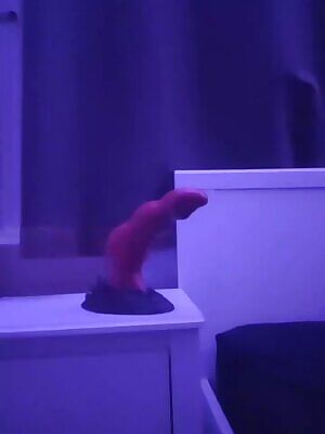 Femboy dragon riding XL Nocturne