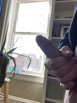 aking the best of my windows at work