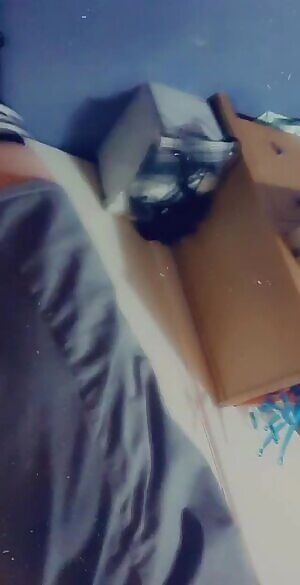 Cats dont wag their tails when they are happy but kitty does!