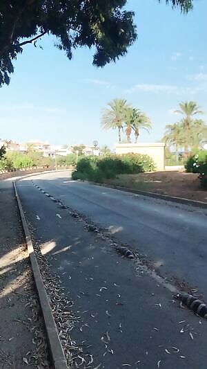 Cheeky cheeks out just for you