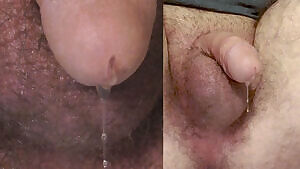 No hands, no toy, no problem