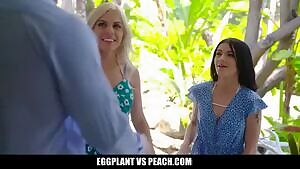 Not a bad introduction.