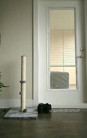 Oh, hi there! mind if i show off for a sec? k thanks bye! 🥰