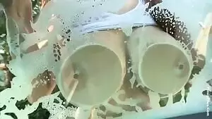 How much would you pay to watch your car get washed like this?